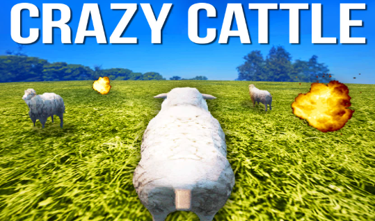 Crazy Cattle thumbnail